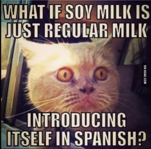 Soy milk spanish