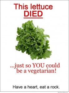 this-lettuce-died